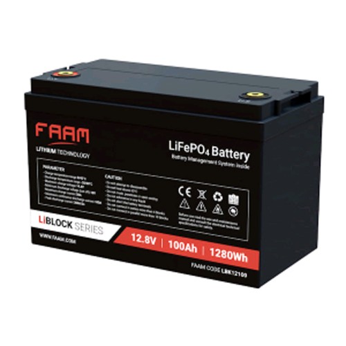 Batteria al Litio Ferro Fosfato 12V 100Ah LiFePo4 con BMS Smart