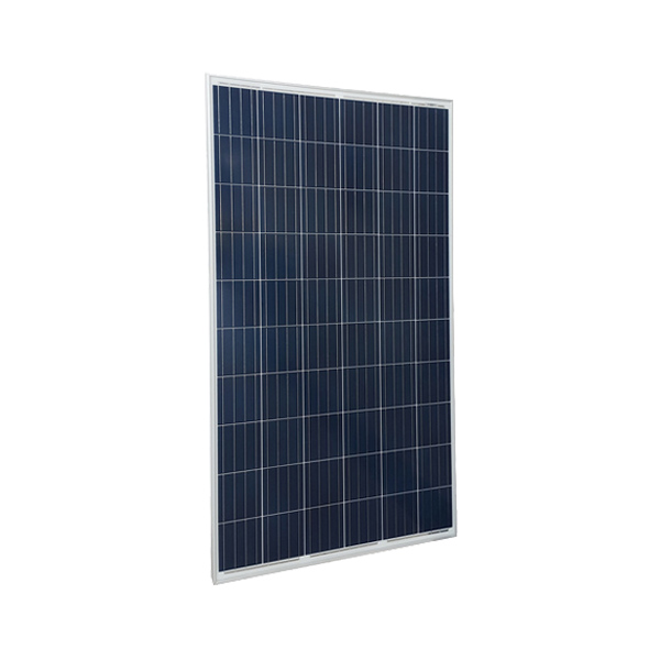 Trienergia COE-280P60L pannello fotovoltaico 280W Eu
