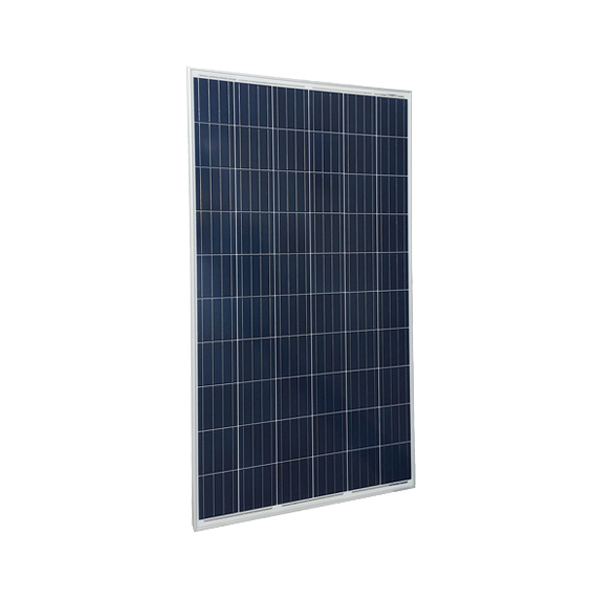 Trienergia COE-280P60L Pannello fotovoltaico 280W