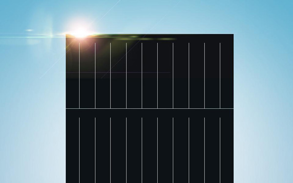 Trina Solar Vertex TSM-650DE21 – Bassa tensione, potenza di uscita della stringa del modulo più alta